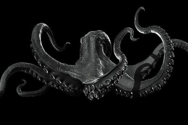 Kraken гидра