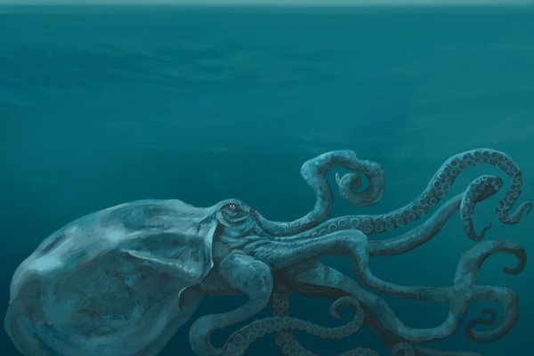 Kraken site