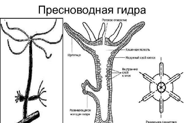 Кракен это современный даркнет маркет